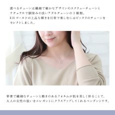 セデナ メビウス ペンダントの特長