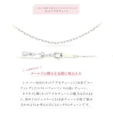 Neos スターフィニッシュ コイン 2WAYペンダントの特長