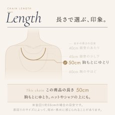 チェーンの長さの目安（この商品は 50cm）