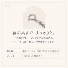 引き輪とプレートの留め具（「Pt850」の刻印）