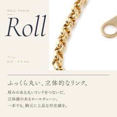 ふっくら丸いリンクのロールチェーン