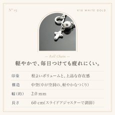 ロールチェーンの仕様（2mm幅・中空）
