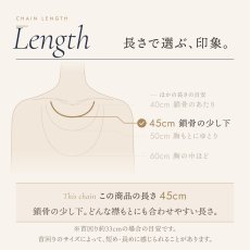 チェーンの長さの目安（この商品は 45cm）