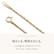 ダブルロロチェーンの引き輪とプレート