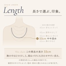 チェーンの長さの目安（この商品は 55cm）