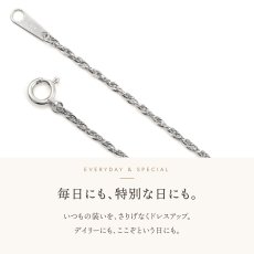 ダブルロロチェーンの引き輪とプレート