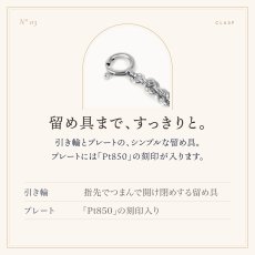 引き輪とプレートの留め具（「Pt850」の刻印）