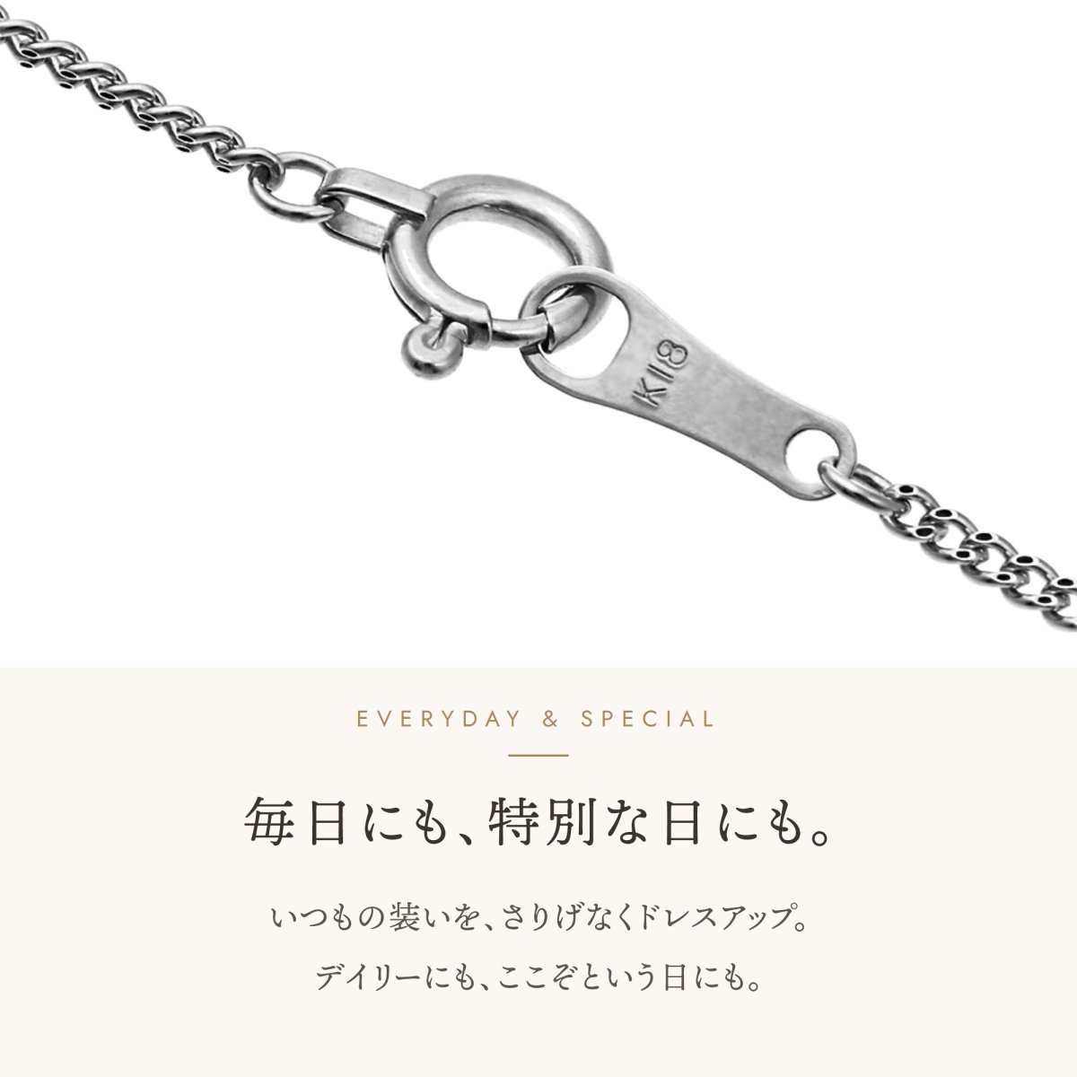 Skinny Clark キヘイチェーンの引き輪とプレート