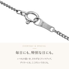 Skinny Clark キヘイチェーンの引き輪とプレート