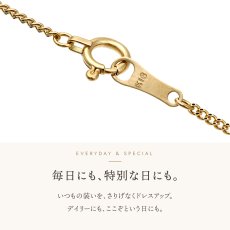 Skinny Clark キヘイチェーンの引き輪とプレート