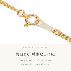 Skinny Clark キヘイチェーンの引き輪とプレート