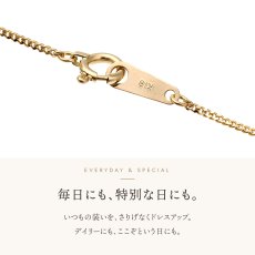Solid キヘイチェーンの引き輪とプレート