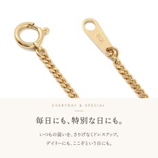 New Standard キヘイチェーンの引き輪とプレート