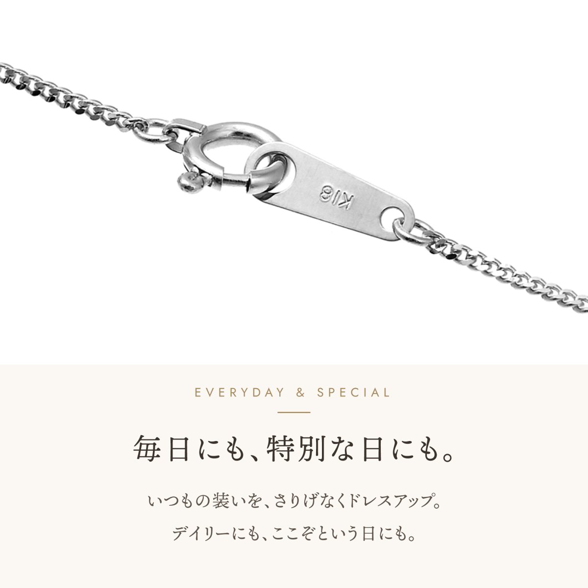 Solid キヘイチェーンの引き輪とプレート